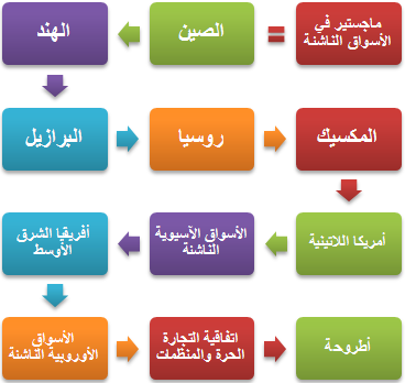 ماجستير في الأسواق الناشئة 